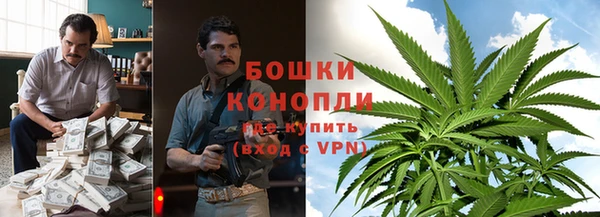 ГАЛЛЮЦИНОГЕННЫЕ ГРИБЫ Касимов