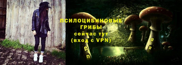 соль ск Ступино