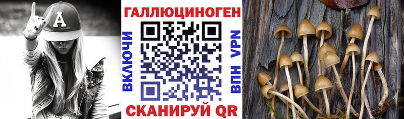 Купить  Козьмодемьянск  Галлюциногенные грибы ЛСД 